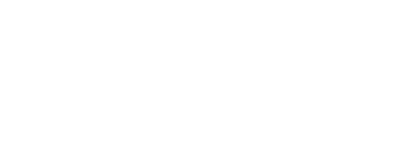 City of Niagara Falls